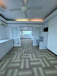 Rajah Tower (D12), Apartment #501311481